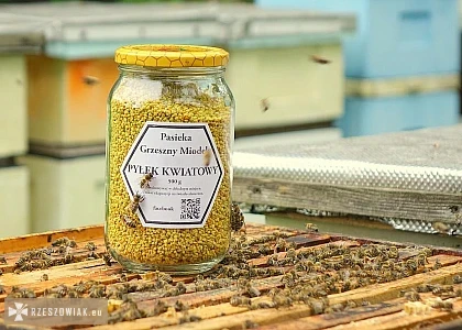 miod tanio - RZESZOWIAK.EU