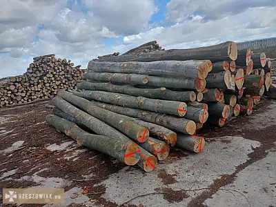 PROMOCJA Buk 300 pln  Dąb 260 pln Dostępne również: brzoza, grab, jesion, sosna Drewno - Zdjęcie 2 - RZESZOWIAK.EU