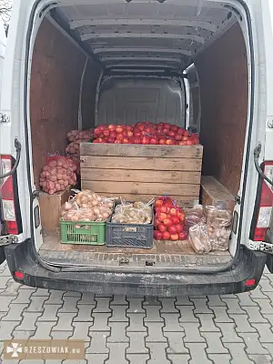 Jabłka Ziemniaki Cebula Marchew Gruszka Soki - RZESZOWIAK.EU