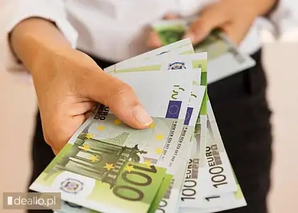 Szybka darmowa pożyczka online - DEALLO.PL