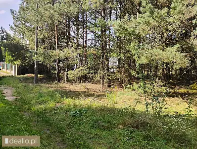 [eLicytacje] I licytacja Nieruchomości - Grunt niezabudowany w udziale 1/2 - DEALLO.PL