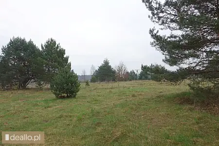 [eLicytacje] I licytacja - nieruchomość gruntowa niezabudowana, działka 1319/1 położona w Szczukowic - RZESZOWIAK.EU