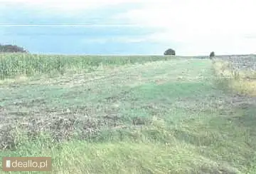 [eLicytacje] I licytacja - Nieruchomość rolna niezabudowana - DEALLO.PL