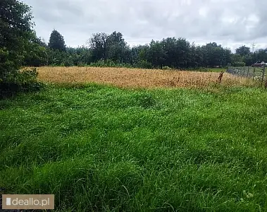 [eLicytacje] II licytacja - Nieruchomość gruntowa niezabudowana położona w miejscowości Barzowice - DEALLO.PL