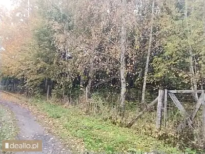 [eLicytacje] II licytacja - Działka rolna niezabudowana, nr 111/5, Krekole gm. Kiwity - WARSZAWIAK.EU