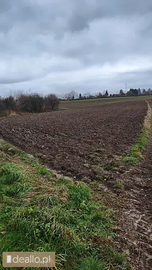 [eLicytacje] III licytacja - Udział 1/2 nieruchomości gruntowej niezabudowanej, którą stanowi działk - DEALLO.PL