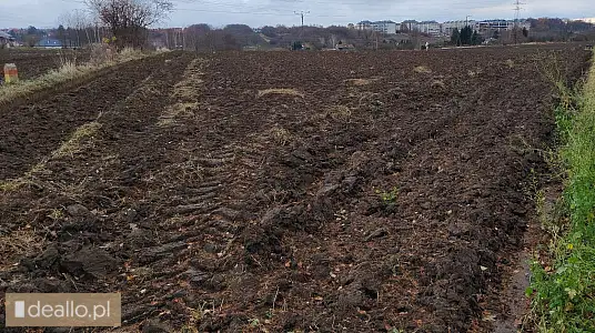 [eLicytacje] III licytacja - Udział 1/2 nieruchomości gruntowej niezabudowanej, którą stanowi działk - DEALLO.PL