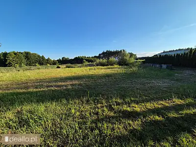 [eLicytacje] II licytacja - Nieruchomość gruntowa niezabudowana o pow. 0,2190 ha położna w Sądzi, gm - DEALLO.PL