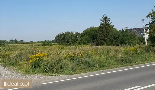 [eLicytacje] I licytacja - Udział ½ nieruchomości gruntowej niezabudowanej położonej w Krakowie - DEALLO.PL