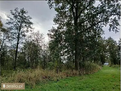 [eLicytacje] I licytacja - Nieruchomość gruntowa 12,0700 ha, Podgórze (gmina Braniewo) - DEALLO.PL