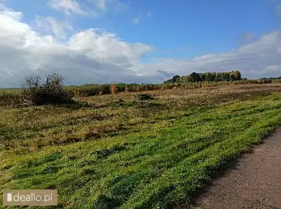[eLicytacje] I licytacja - Nieruchomość gruntowa 26,8100 ha, Podgórze (gmina Braniewo) - DEALLO.PL