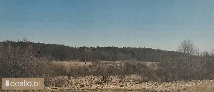 [eLicytacje] I licytacja - Działki rolne nr ew. 180, 215, 216 - Wólka Szelężna - DEALLO.PL