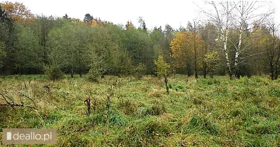 [eLicytacje] I licytacja - Nieruchomość gruntowa niezabudowana - DEALLO.PL