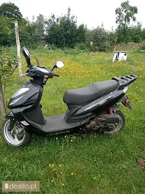 Torq formax motorower 2018 - i licytacja - [elicytacje] - DEALLO.PL