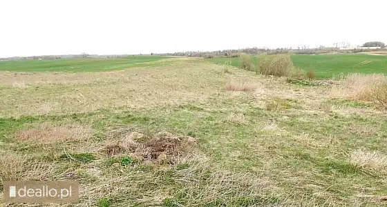 [eLicytacje] II licytacja - Nieruchomość gruntowa niezabudowana położona w Jaśkach, gmina Olecko, dz - WARSZAWIAK.EU