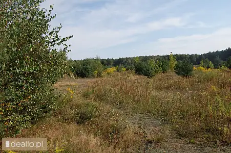 [eLicytacje] I licytacja - Nieruchomość gruntowa niezabudowana LD1G/00105202/0 - DEALLO.PL