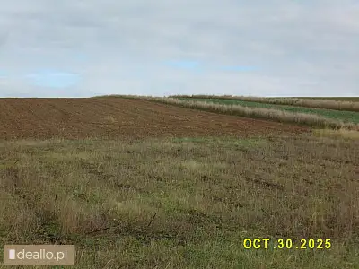 [eLicytacje] II licytacja - Nieruchomość gruntowa niezabudowana - pow. 0,1039 ha - Kiełczewice Górne - RZESZOWIAK.EU
