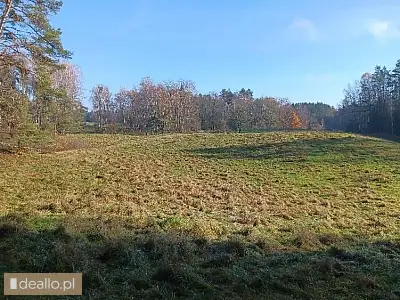 [eLicytacje] III licytacja - Nieruchomość gruntowa działka nr 8/22,  miejscowość Purdka, gmina Purda - DEALLO.PL