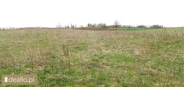 [elicytacje] ii licytacja - nieruchomość gruntowa niezabudowana położona w jaśkach, gmina olecko, dz - DEALLO.PL