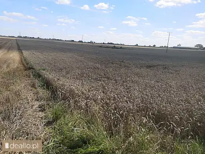 [eLicytacje] I licytacja - Nieruchomość gruntowa niezabudowana położona w miejscowości Warszewice, g - DEALLO.PL