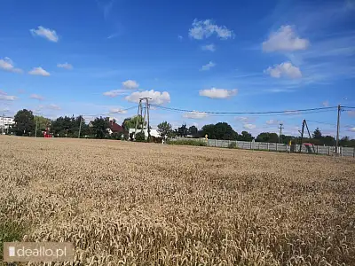 [eLicytacje] III licytacja - Udział 1/2 w nieruchomości gruntowej niezabudowanej położonej w miejsco - DEALLO.PL