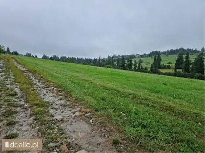 [eLicytacje] III licytacja - Działki rolne niezabudowane położone w Witowie - DEALLO.PL