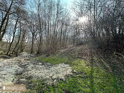 [eLicytacje] I licytacja - Nieruchomość gruntowa niezabudowana o pow. 1,1801 ha, Kamionek Wielki, gm - DEALLO.PL
