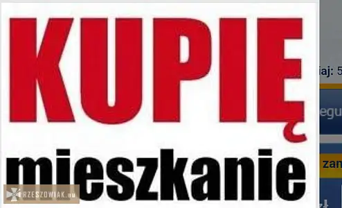 Rzeszów mieszkanie kawalerkę kupię tel 692120020 - RZESZOWIAK.EU