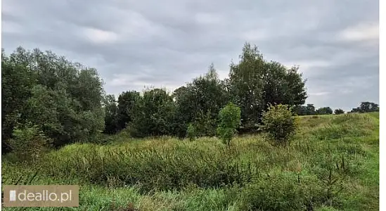 [eLicytacje] III licytacja - nieruchomość gruntowa niezabudowana w Pączewie Gmina Skórcz, nr działki - DEALLO.PL