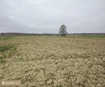 [eLicytacje] I licytacja - Nieruchomość gruntowa położona w Drogomyślu - DEALLO.PL