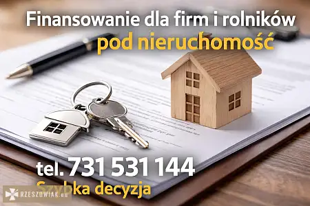 Pożyczka pod zastaw nieruchomosci bez BIK i KRD - DEALLO.PL