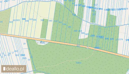 [eLicytacje] II licytacja - Nieruchomość gruntowa niezabudowana - działki nr 591, 592 poł. Dąbrowa ( - RZESZOWIAK.EU