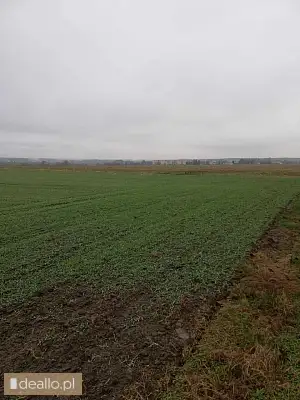 [eLicytacje] III licytacja - Nieruchomość gruntowa niezabudowana w Toszku i Pisarzowicach - POZNANIAK.NET