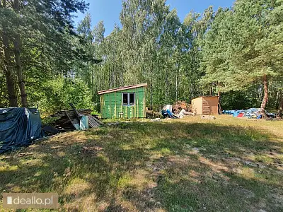 [eLicytacje] I licytacja - Działka rekreacyjna o pow. 487 m² - Borowa, gm. Koluszki    - DEALLO.PL