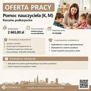[ePraca] pomoc nauczyciela  (K, M) - DEALLO.PL