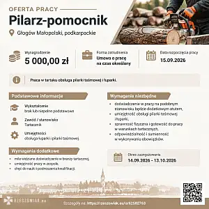 [ePraca] pilarz-pomocnik - DEALLO.PL