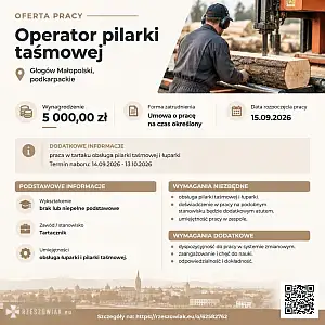 [ePraca] operator pilarki taśmowej - DEALLO.PL