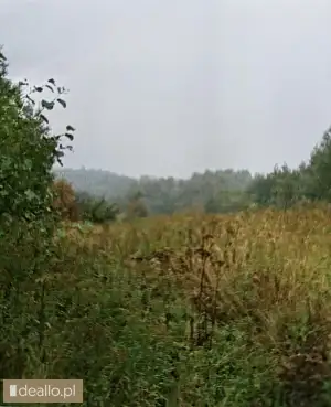 [eLicytacje] III licytacja - Nieruchomość gruntowa - DEALLO.PL
