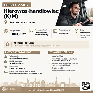 [ePraca] kierowca-handlowiec (K/M) - DEALLO.PL