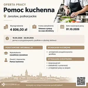 [ePraca] Pomoc kuchenna - DEALLO.PL