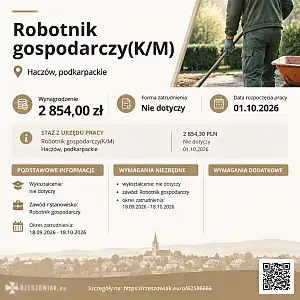 [ePraca] Robotnik gospodarczy(K/M) - DEALLO.PL