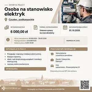 [ePraca] Osoba na stanowisko elektryk - DEALLO.PL