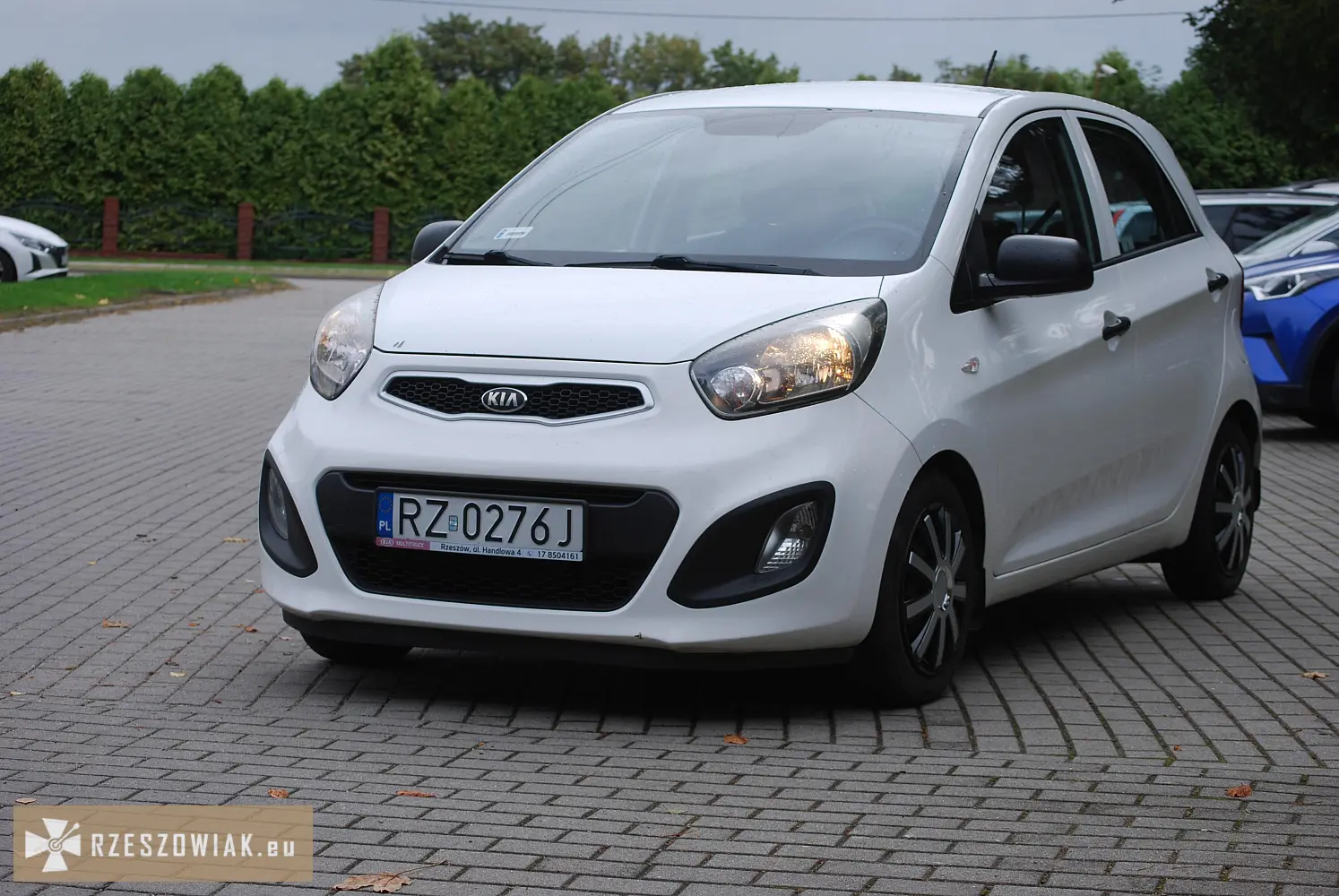 Kia picanto ii 1.0 (68 km) | salon polska | aso rzeszów | - Zdjęcie 3 - WARSZAWIAK.EU