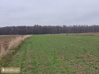 [eLicytacje] II licytacja - grunt orny - WARSZAWIAK.EU