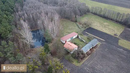 [eLicytacje] II licytacja - Nieruchomość rolno - leśna, w części zabudowana o pow. 7.7300 ha - POZNANIAK.NET