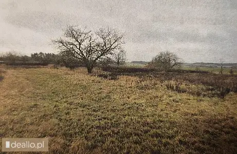 [eLicytacje] III licytacja - Nieruchomość gruntowa niezabudowana poł. w Wysokiej, powiat międzyrzeck - DEALLO.PL