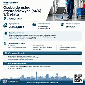 [ePraca] osoba do usług czystościowych (M/K) 1/2 etatu - HANYSEK.NET