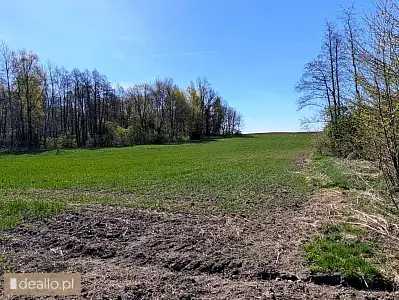 [eLicytacje] I licytacja - nieruchomość gruntowa niezabudowana o powierzchni 1,6075 ha, położona w W - DEALLO.PL