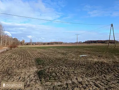 [eLicytacje] I licytacja - nieruchomość gruntowa niezabudowana - WARSZAWIAK.EU