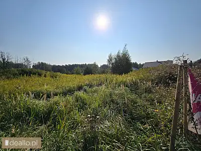 [eLicytacje] I licytacja - Nieruchomość gruntowa niezabudowana - POZNANIAK.NET